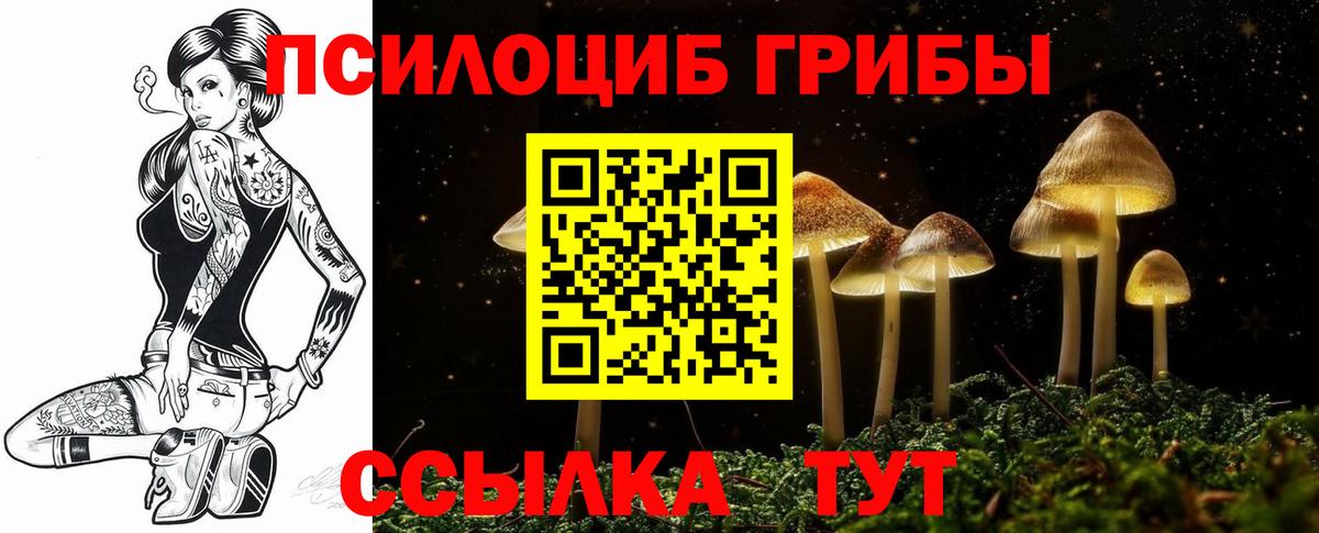 Галлюциногенные грибы Cubensis  Галлюциногенные грибы прущие грибы  Вход с VPN  Ступино 